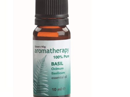 Aromatherapy Oil Basil Essential Oil 10 ml Cheap